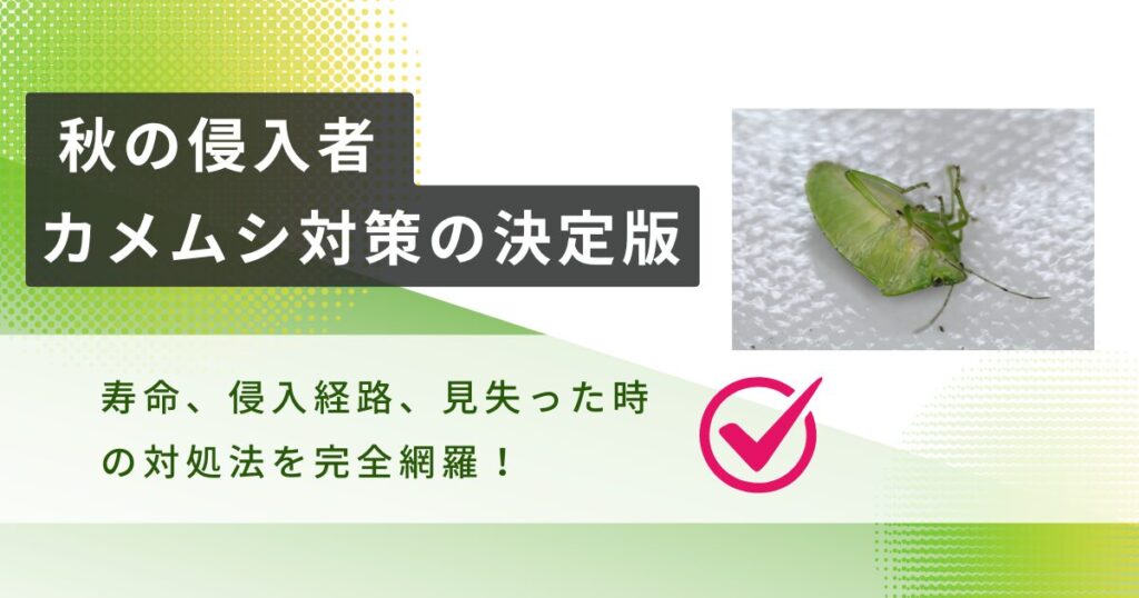 カメムシの寿命は家の中ではどれくらい？どこから大量侵入？見失った場合どうしたらいいのか解説